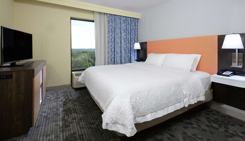 Suite, 1 cama de matrimonio grande, accesible para personas con discapacidad (Hearing)