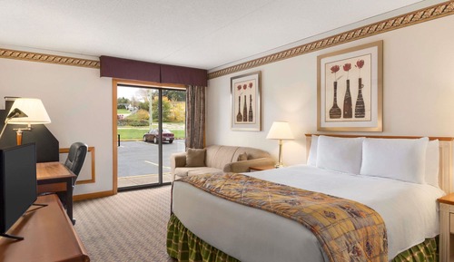 Habitación, 1 cama de matrimonio grande, no fumadores, frigorífico