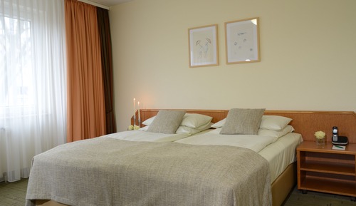 Habitación estándar doble