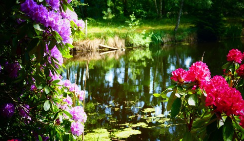 Habitación individual clásica