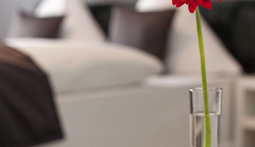 Habitación con 1 cama doble o 2 individuales