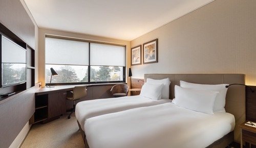 Habitación estándar, 1 cama doble