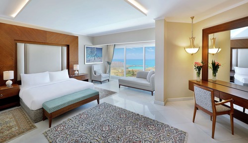 Suite presidencial, 1 cama de matrimonio grande