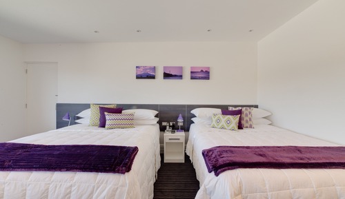 Estudio Deluxe, 2 camas de matrimonio