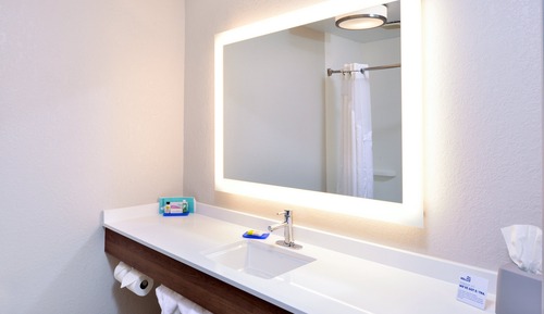 Habitación estándar, 1 cama de matrimonio grande (Roll-In Shower, Communications)