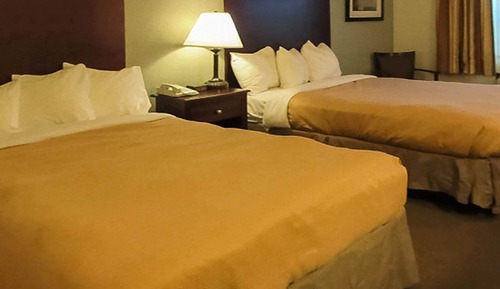 Habitación estándar, 2 camas dobles