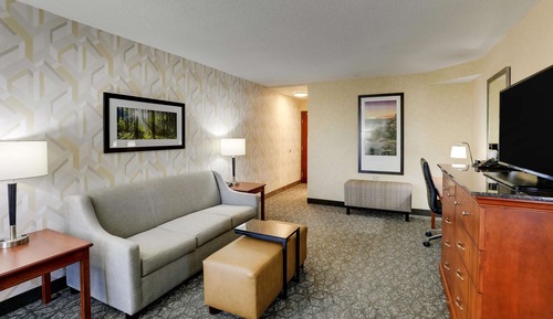 Suite Deluxe, 1 cama de matrimonio grande con sofá cama, frigorífico y microondas (2 Rooms)