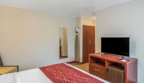 Suite, 1 cama de matrimonio grande, no fumadores (Wet Bar)