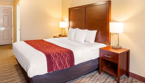 Habitación estándar, 1 cama de matrimonio grande, no fumadores