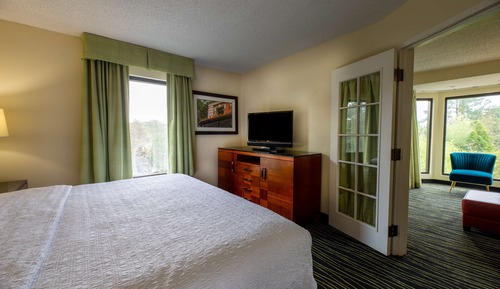 Suite, 1 cama de matrimonio grande, frigorífico y microondas, vistas al lago