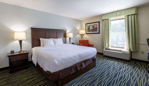 Habitación, 1 cama de matrimonio grande con sofá cama (Large Room, Shower Only)