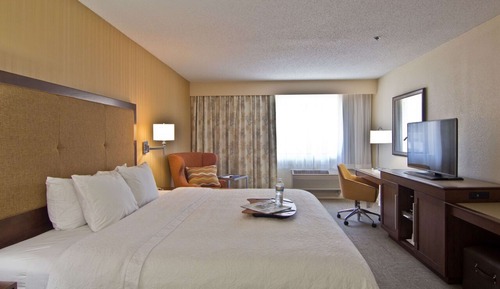 Habitación Deluxe, 1 cama de matrimonio grande (Shower Only)