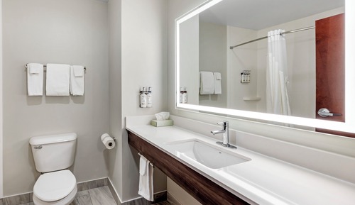 Suite, 1 cama de matrimonio grande con sofá cama