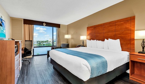 Habitación estándar, 1 cama de matrimonio grande, no fumadores, frigorífico y microondas