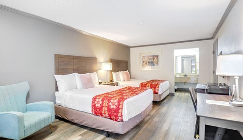 Habitación estándar, 2 camas de matrimonio, no fumadores