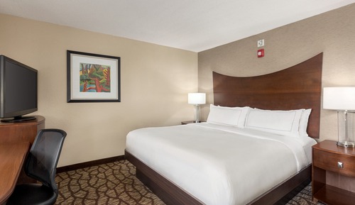 Habitación, 1 cama de matrimonio grande, accesible para personas con discapacidad (Roll-in Shower)