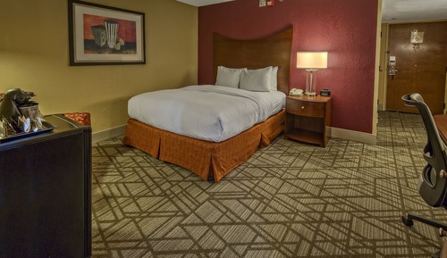 Habitación, 1 cama de matrimonio, accesible para personas con discapacidad (Roll-in Shower)