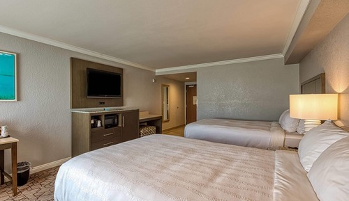 Habitación estándar, 2 camas de matrimonio, no fumadores (Roll-In Shower)
