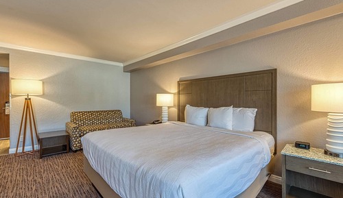 Habitación estándar, 1 cama de matrimonio grande, no fumadores