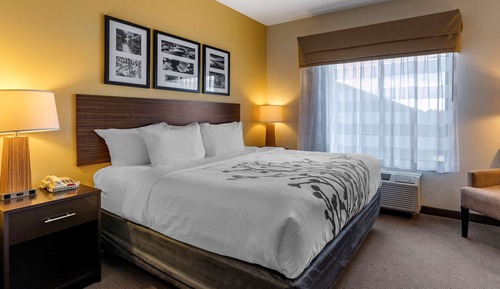 Suite, 1 cama de matrimonio grande con sofá cama, no fumadores