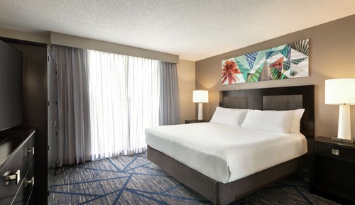 Suite, 1 cama de matrimonio grande, accesible para personas con discapacidad, bañera