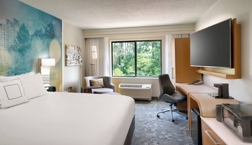 Habitación, 1 cama de matrimonio grande con sofá cama