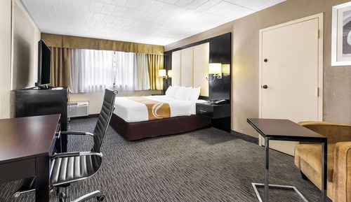 Habitación estándar, 1 cama de matrimonio grande, no fumadores