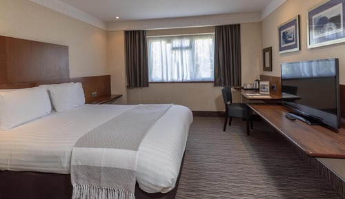 Habitación estándar, 1 cama doble, accesible para personas con discapacidad (Walk-in Shower)