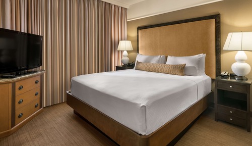 Suite estudio, 1 cama de matrimonio grande con sofá cama