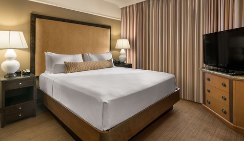 Suite estudio, 1 cama de matrimonio grande con sofá cama, vistas al patio