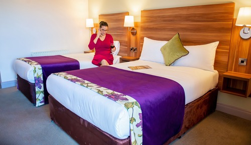 Habitación estándar con 2 camas individuales