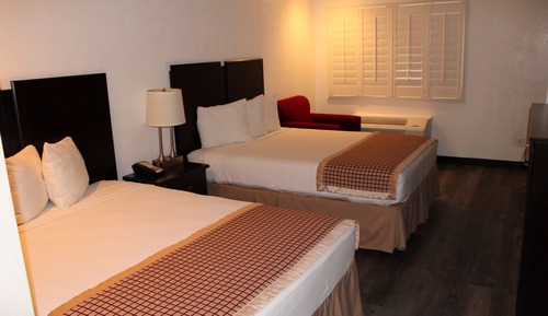 Suite estudio familiar