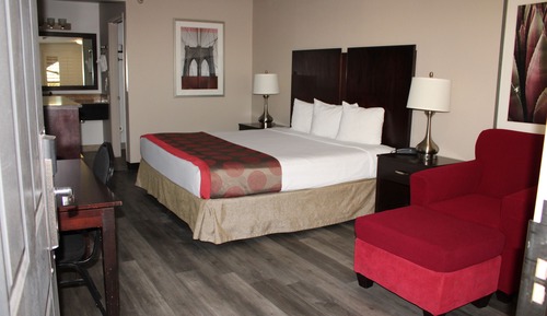 Habitación individual Confort