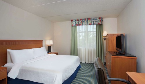 Suite Premium, 1 cama de matrimonio grande con sofá cama (Wellness)