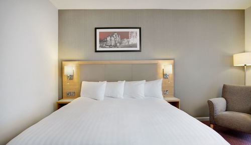 Habitación ejecutiva, 1 cama de matrimonio grande