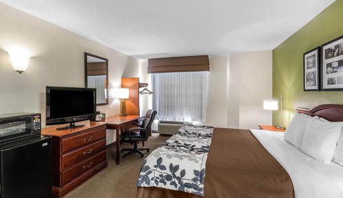 Habitación, 1 cama de matrimonio, accesible para personas con discapacidad, no fumadores