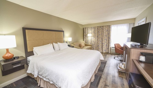 Habitación, 1 cama de matrimonio grande con sofá cama, no fumadores, frigorífico