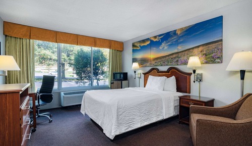 Habitación, 1 cama doble, accesible para personas con discapacidad, no fumadores