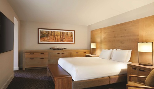 Suite, 1 habitación