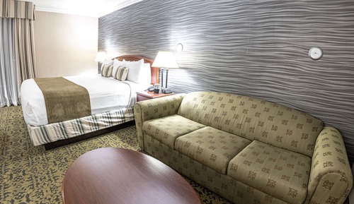 Habitación estándar, 1 cama de matrimonio grande, no fumadores (with Sofabed)