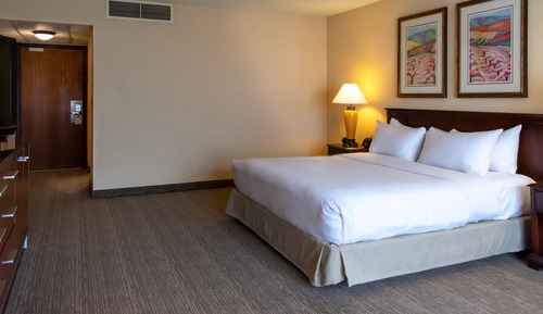 Habitación Club, 1 cama de matrimonio grande, accesible para personas con discapacidad (Mobility)