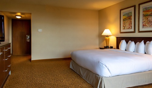 Habitación, 1 cama de matrimonio grande, balcón, en una planta alta (Metro Tower)