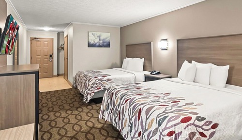 Habitación Deluxe, 2 camas de matrimonio, fumadores