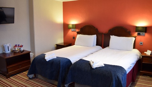 Habitación clásica con 2 camas individuales, baño privado, vistas al jardín