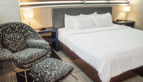 Habitación estándar, 1 cama de matrimonio grande, no fumadores (Pet Friendly)