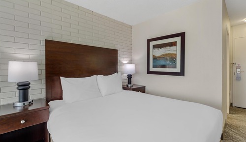 Habitación estándar, 1 cama de matrimonio, no fumadores, frigorífico