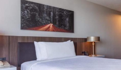 Suite junior, 1 cama de matrimonio grande