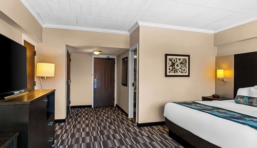 Habitación estándar, 1 cama de matrimonio, no fumadores, frigorífico (Pet Friendly)