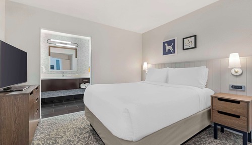 Suite, 1 cama de matrimonio con sofá cama (One Bedroom)