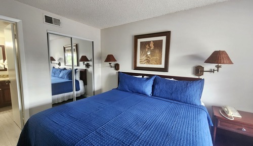 Suite Premium, 1 habitación